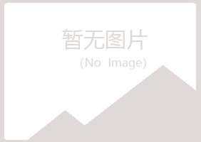 重庆北碚夏岚建设有限公司